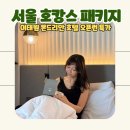몬드리안 서울 이태원 | 서울 호캉스 이태원 몬드리안호텔 추천 후기 수영장 패키지 특가
