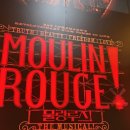 신한엠디 | 260204 뮤지컬 물랑루즈 정선아 차윤해 후기 ,블루스퀘어 신한카드홀 2층 10열 21번 시야