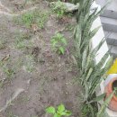 돈필농장 이미지