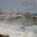 주간바우길 596호 이미지