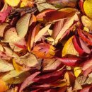 팔공온천랜드 이미지