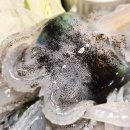 종로PC랜드 이미지