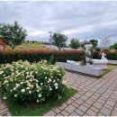 곡성-134 이미지