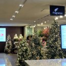 예술자료원 챔버홀 | 서초/교대 예술의 전당 ibk챔버홀 관람후기 시야 12회 poah피아노 정기연주회