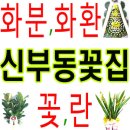 대동종합카 이미지