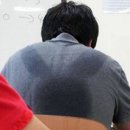 데이포