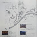 순천 동화사 마을숲(동화사 동백림) | 순천여행 조계산 송광사와 불일암. 승보사찰 송광사 &amp; 묵언수행처 불일암, 순천 가볼만한 곳
