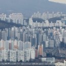 "시세보다 2억 싸게 낙찰"…경매시장 '북적' 이미지