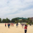 방초초 Daum카페
