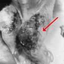 화서동물병원 이미지