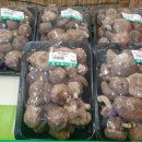 중동청과 이미지