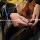 말순이네 이미지