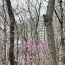 수목어린이공원 | 근교 주말나들이 하기 좋은 용인근린공원 정암수목공원