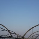 해뜨는아침농장 이미지