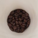 The Nest Coffee