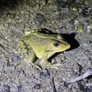 수지생태공원 이미지