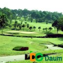 티골프스쿨 이미지