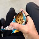 명동스넥 | 하이디라오 영등포점 첫 방문, 훠궈입문후기