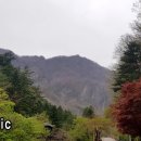 삼척홀릭