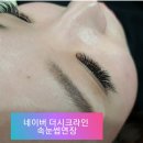 더시크라인