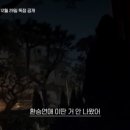 얌얌불닭발 이미지