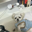 카페 키로(KIRO) 네이버블로그