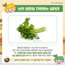 남지식품