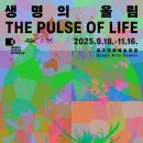 비엔날레 이미지