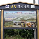 붕어마을 Daum카페