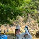 온오프짐 | 파주 계곡카페 온오프 아이와 가볼만한곳 입장료 준비물 주차 물놀이 후기