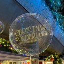 MAGIC SHOW 원더랜드 | 싱가포르 여행 - 크리스마스 마켓 Christmas Wonderland at Gardens by the bay