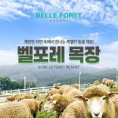 블랙스톤벨포레 루지하우스 | 블랙스톤 벨포레 목장 후기
