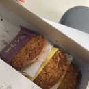 견생냥품 24시무인펫샵 도봉 보건소점 | 나의 하루 한주 한달 일상 브이로그🩵
