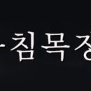 미트마트 이미지