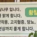 대박황칠코리아 이미지