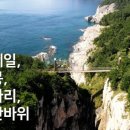섬앤썸 네이버블로그