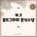 경기몰드 | W.5 경기 호텔리츠 어두운 홀 몰드그라피 본식 스냅 예약 후기 가격 공유