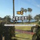 태위로 | 제주 금호리조트 패밀리디럭스룸 가격비교 내돈내산 후기
