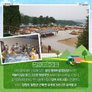 철원 평화마을  유곡 캠핑장 이미지