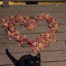 클래스병원 이미지