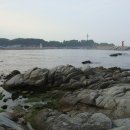 대진항식당 이미지