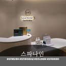 스파나인 | 청주예신관리 추천! 청주 강서동 스파나인 비엔서LDM 진정관리 후기
