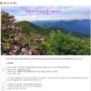 대봉약수터 이미지