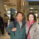 대양여행사 이미지