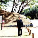 고금면-4 이미지