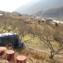 영포농장 이미지