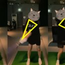풀스윙골프클럽 네이버블로그