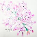 생태세밀화 | 숲으로 둘러싸인 희망대초에서 학교생태온라인도감을