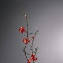 통영바다펜션 이미지