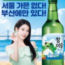 부산 - 수영구 | 부산